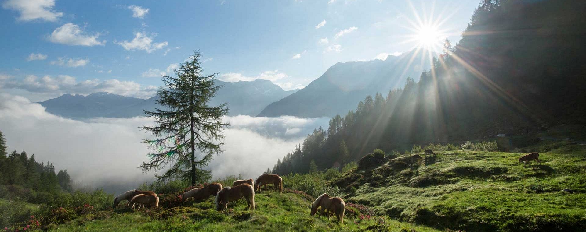 Bergpanorama Ötztal