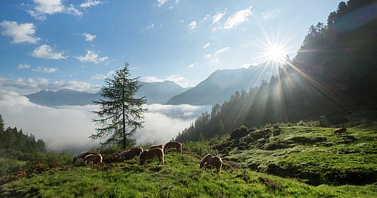 Bergpanorama Ötztal