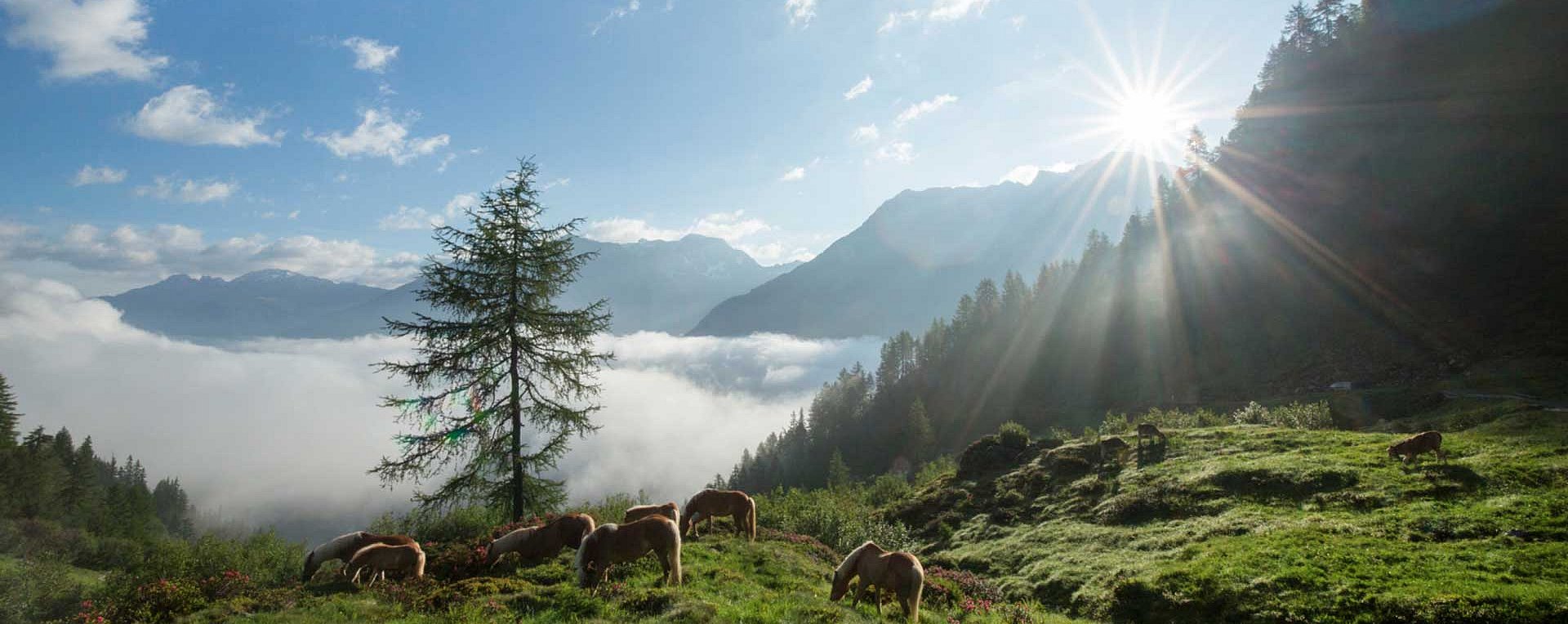 Bergpanorama Ötztal