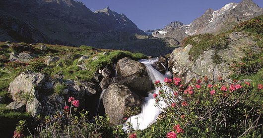 Wandern im Oetztal 