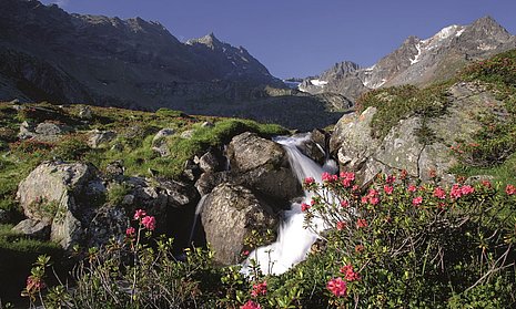 Wandern im Oetztal 