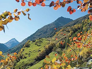 Herbstliche Berglandschaft