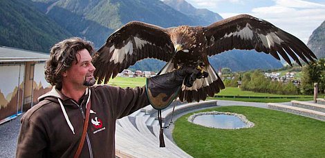 Mann im Greifvogelpark im Ötztal