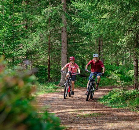 Paar beim Radfahren im Wald